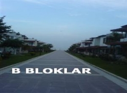 B Blok Cari kartları