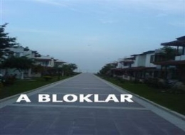 A Blok Cari kartları