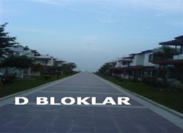D Blok Cari kartları