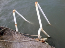 DenizKoru 2012 Mayıs!...