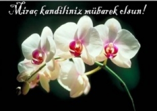 Mirac Kandiliniz Kutlu Olsun