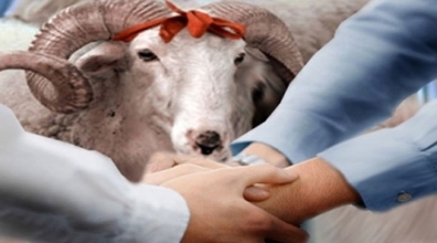 Kurban Bayramımız kutlu olsun